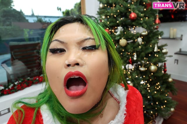 I Fucked Mrs Claus Genesis Green TransVR — photo 18
