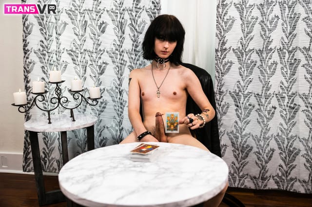 The Tarot Reading Spite TransVR — photo 9