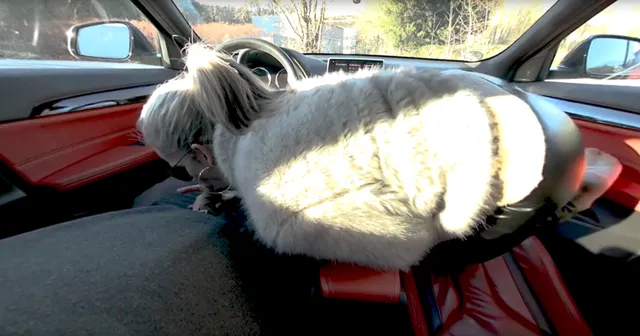Sabdeluxe - Car Footjob Sabdeluxe VR — photo 5