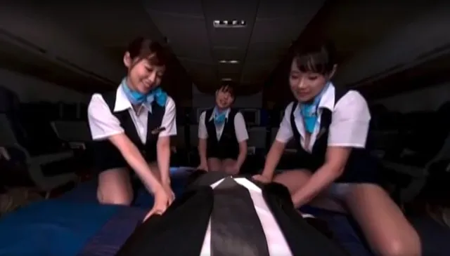 I Showed My Erect Penis in Front Of The Flight Attendant P2 DANDY vr porn video5 — photo 2