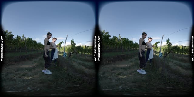 Josie And Sofie On Vacation In Italy Naked In Wine Vineyard During Harvest Time VRgoddess — photo 2